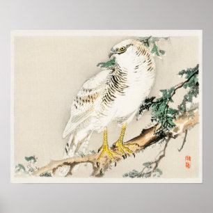 Nordlig mockingbird by Kōno Bairei (1844-1895) Poster