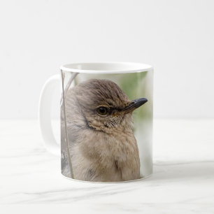 Nordlig mockingbird Porträtt Bird Photo Kaffemugg