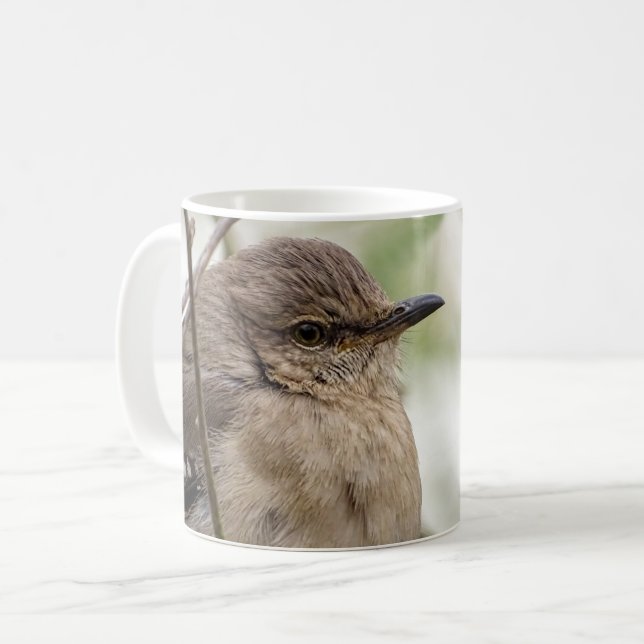 Nordlig mockingbird Porträtt Bird Photo Kaffemugg (Framsida vänster)