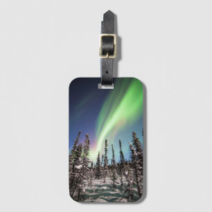 Nordlig nationalpark för ljus Denali Bagagebricka