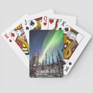 Nordlig nationalpark för ljus   Denali Casinokort