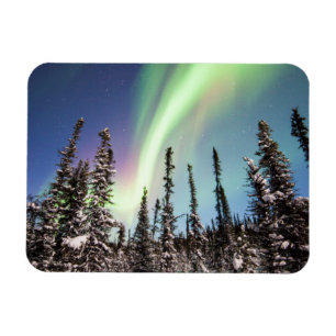 Nordlig nationalpark för ljus Denali Magnet