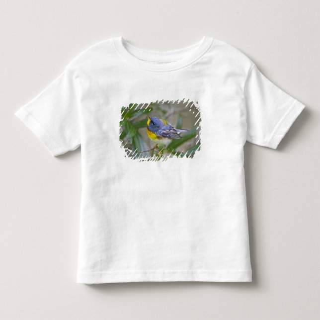 Nordlig parula (Parula americana) T-shirt (Framsida)