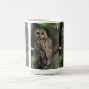 Nordlig prickig uggla kaffemugg
