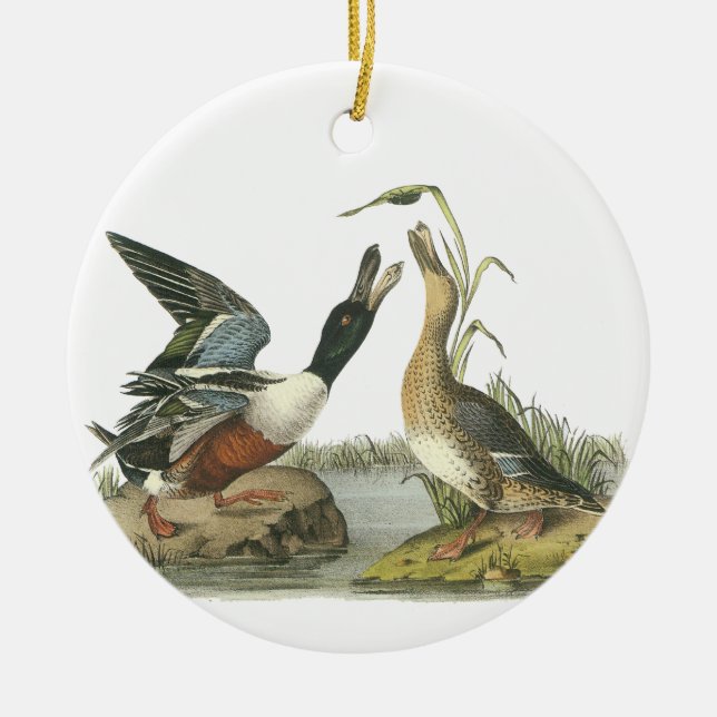Nordlig Shoveler, John Audubon Julgransprydnad Keramik (Framsidan)