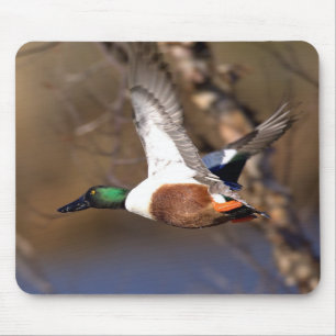 Nordlig Shoveleranka Mousepad Musmatta