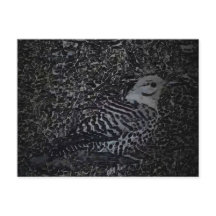 Nordlig Trädhackare v2 - Trädgårdsdjur