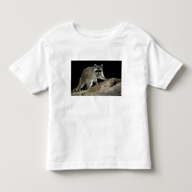 Nordlig tvättbjörn, Procyon lotor Tee Shirt (Framsida)