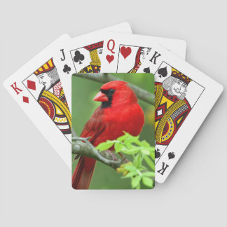 Nordliga kardinaler casinokort