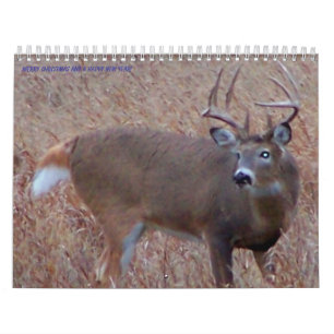 Nordliga North Dakota hjortbilder Kalender