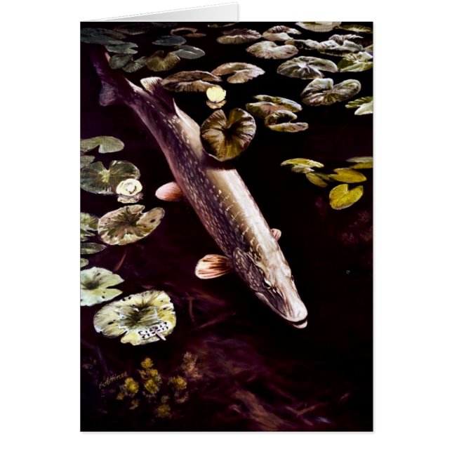 Nordliga Pike Hälsningskort (Framsidan)