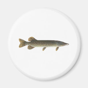 Nordliga Pike Magnet