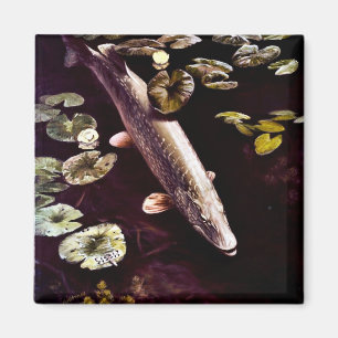 Nordliga Pike Magnet