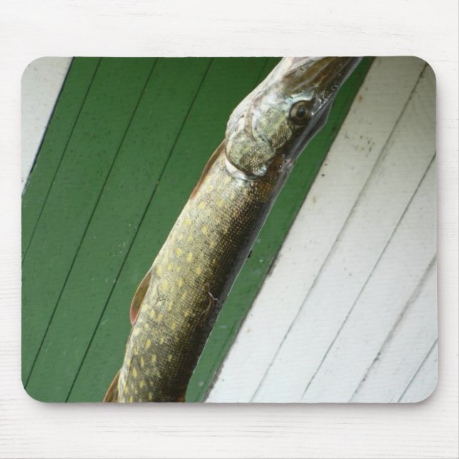 Nordliga Pike Musmatta (Framsidan)