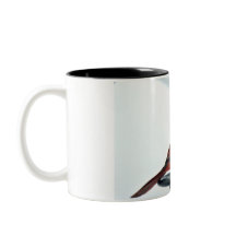 Nordligt huvudsakligt foto