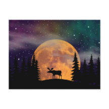 Nordligt ljus för nordliga nätter