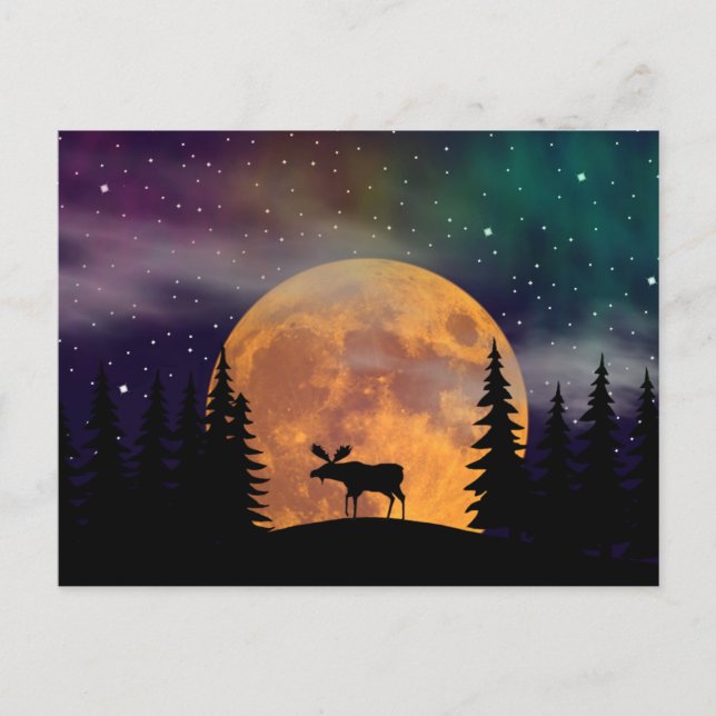 Nordligt ljus för nordliga nätter vykort (Framsida)