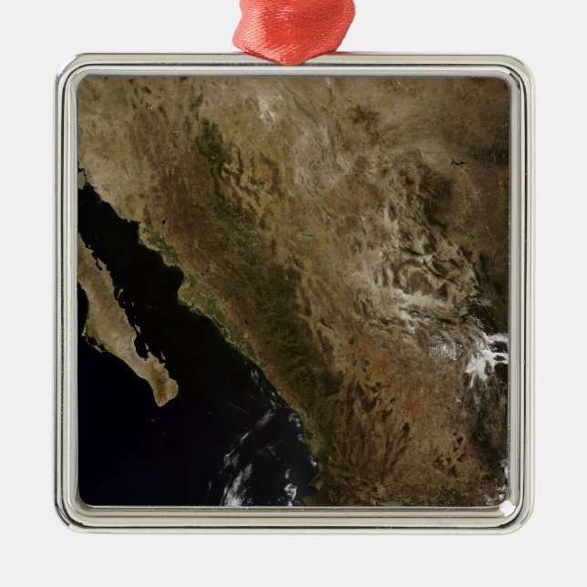 NordMexiko Julgransprydnad Metall (Framsidan)