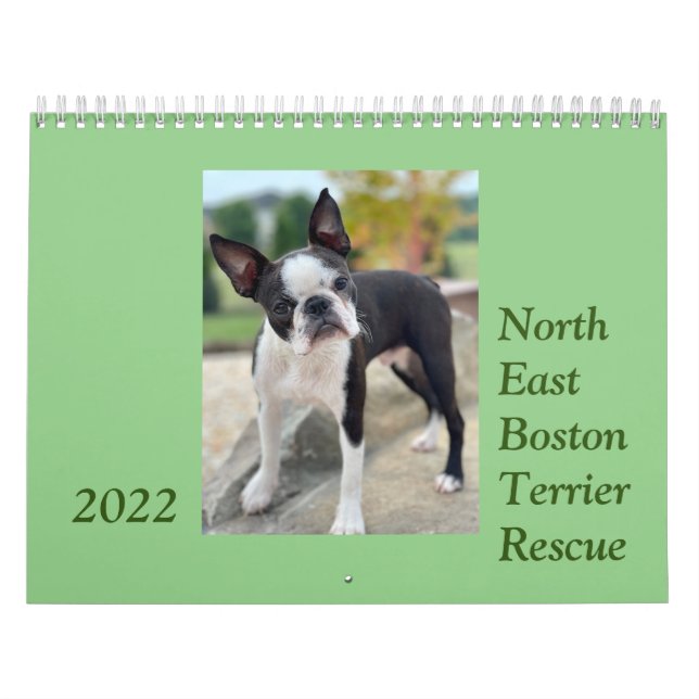 Nordost Boston Terrier Rädding 2022 Calendar Kalender (Omslag)