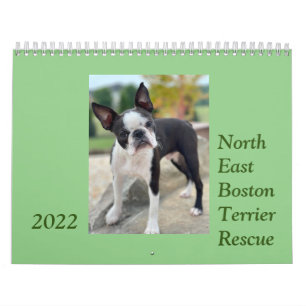 Nordost Boston Terrier Rädding 2022 Calendar Kalender
