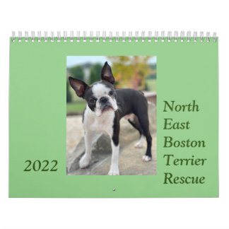 Nordost Boston Terrier Rädding 2022 Calendar Kalender