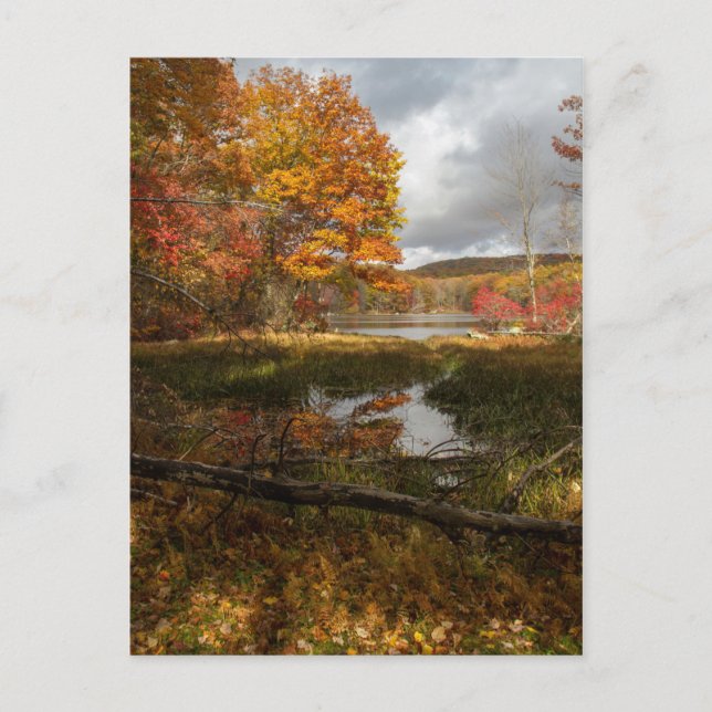 Nordosthösten Vykort (Framsida)