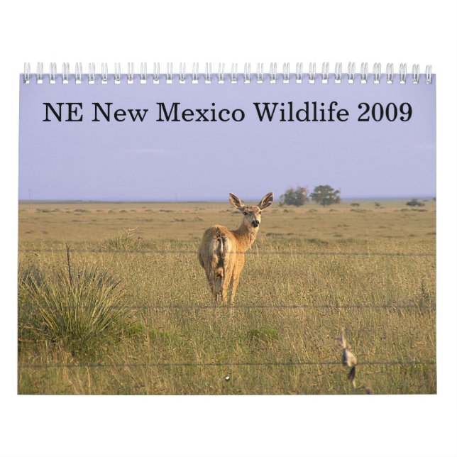 Nordöstra nytt - mexico djurliv 2009 kalender (Omslag)