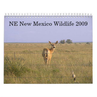 Nordöstra nytt - mexico djurliv 2009 kalender