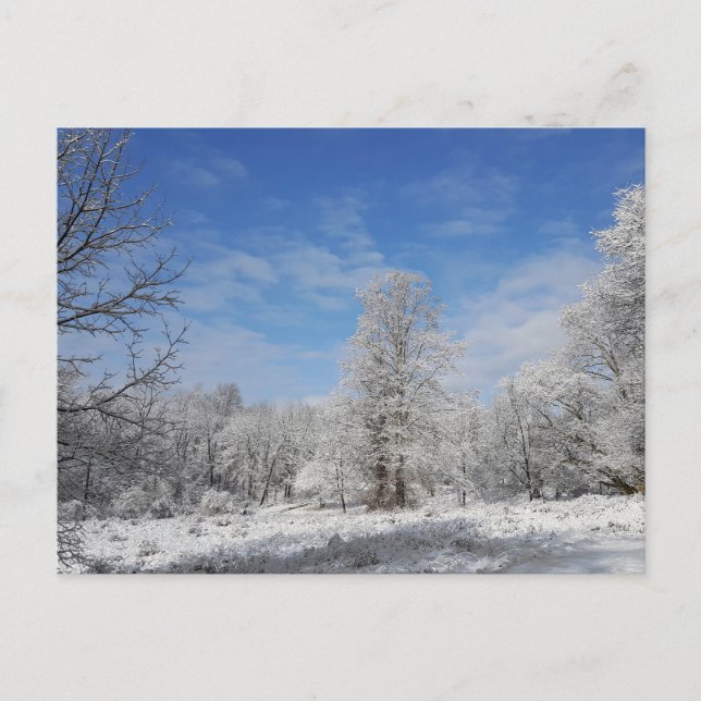 Nordostvinter-scenen Vykort (Framsida)