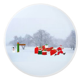 Nordpolknoppen Knopp