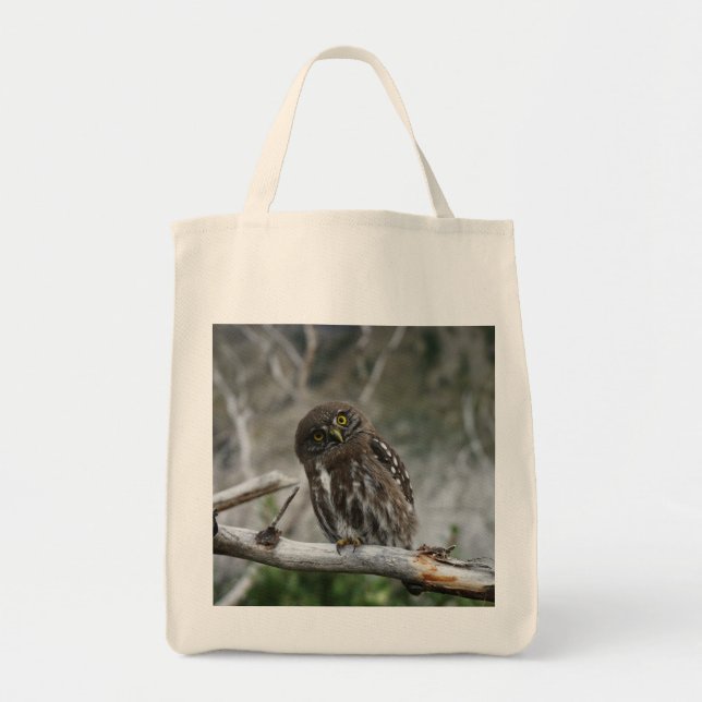 Nordpygmy Uggla Tote Bag Tygkasse (Framsidan)