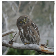 Nordpygmy Uggla Trasa Napkin
