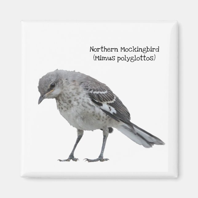 Nordsjöfågel Magnet (Framsidan)