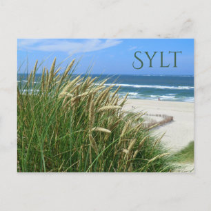 Nordsjön, Beach, Dune Grass, Sylt, Nordfriesland Vykort