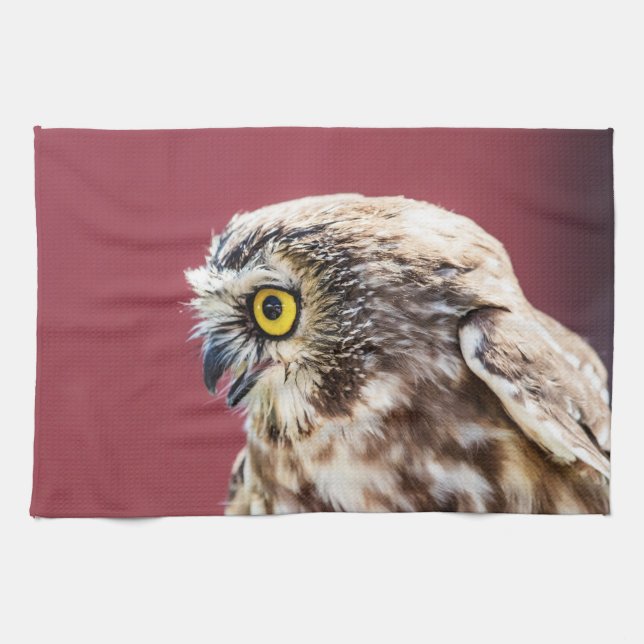 Nordsjön-Whet Uggla Porträtt Kökshandduk (Horisontell)
