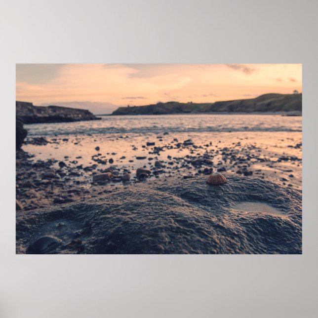 Nordsjöns Snäcka Poster (Framsidan)