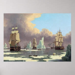 Nordvalsfisket: "Svan" och "Isabella" Poster
