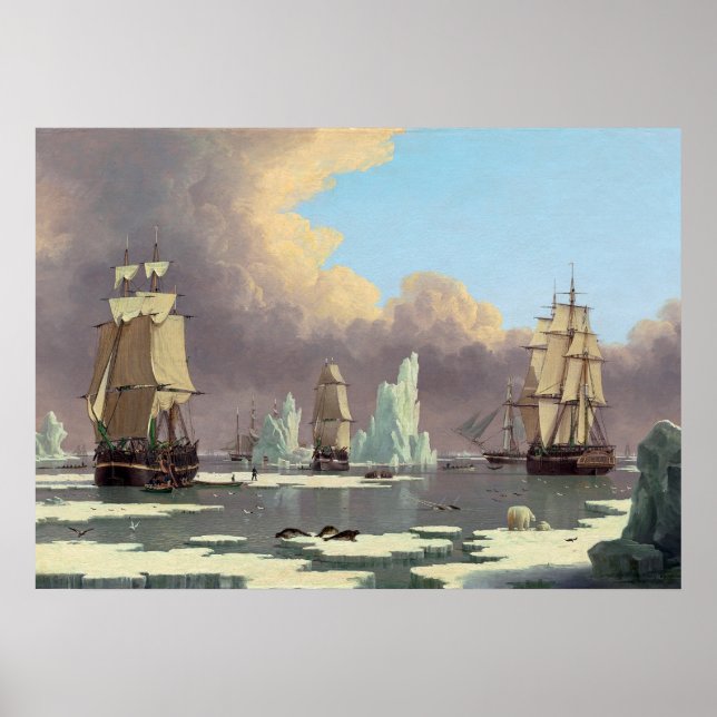 Nordvalsfisket: Svan och Isabella Poster (Framsidan)