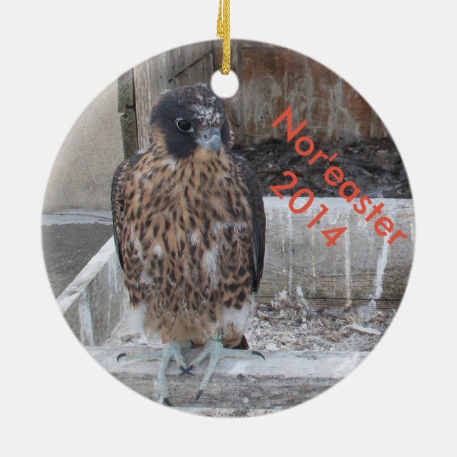 Nor'easterprydnad 2014 julgransprydnad keramik (Baksidan)