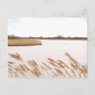 Norfolk en sjödistrikt i Norfolk Vykort