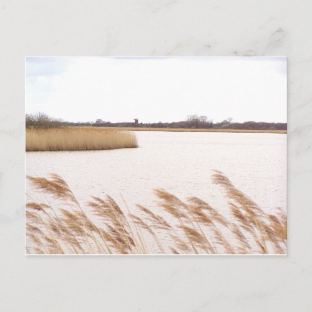 Norfolk en sjödistrikt i Norfolk Vykort (Framsida)