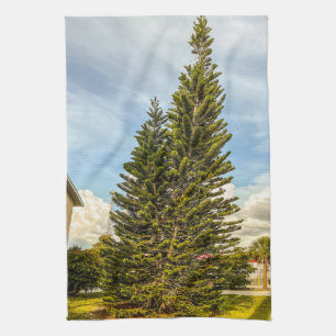 Norfolk Island Tallbarr  Kökshandduk