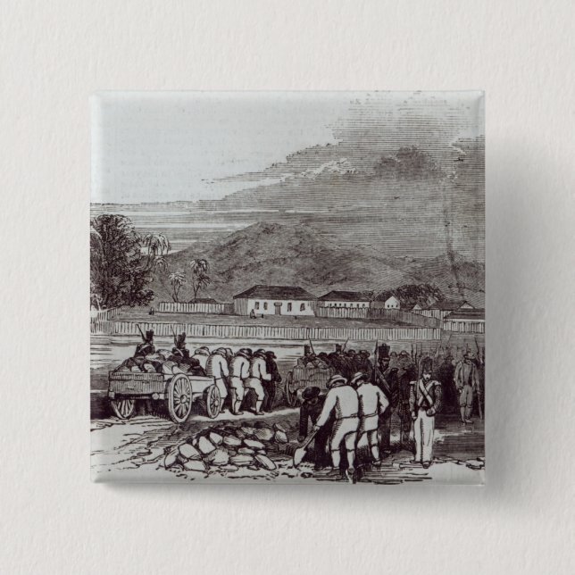 Norfolk ö knapp (Framsida)