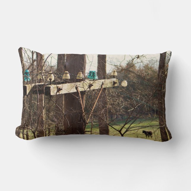 Norfolk och western järnväg Pole fodrar kudder på Lumbarkudde (Framsida)