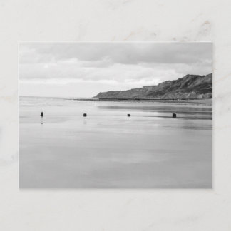 Norfolk Shore Vykort