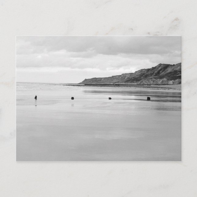 Norfolk Shore Vykort (Framsida)