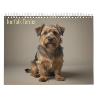 Norfolk Terrier 2027 Väggkalender Kalender