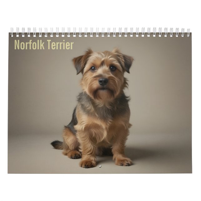 Norfolk Terrier 2027 Väggkalender Kalender (Omslag)