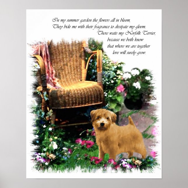 Norfolk Terrier Art Skriv ut Poster (Framsidan)