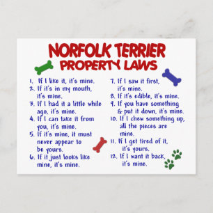 NORFOLK TERRIER Egendom LAGSTIFTNING 2 Vykort